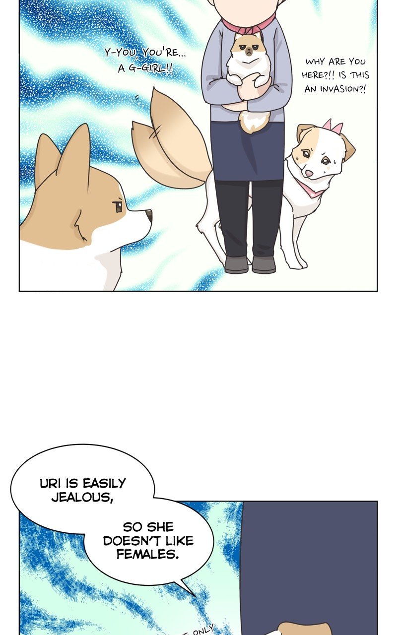 The Dog Diaries Chapter 115 - page 33