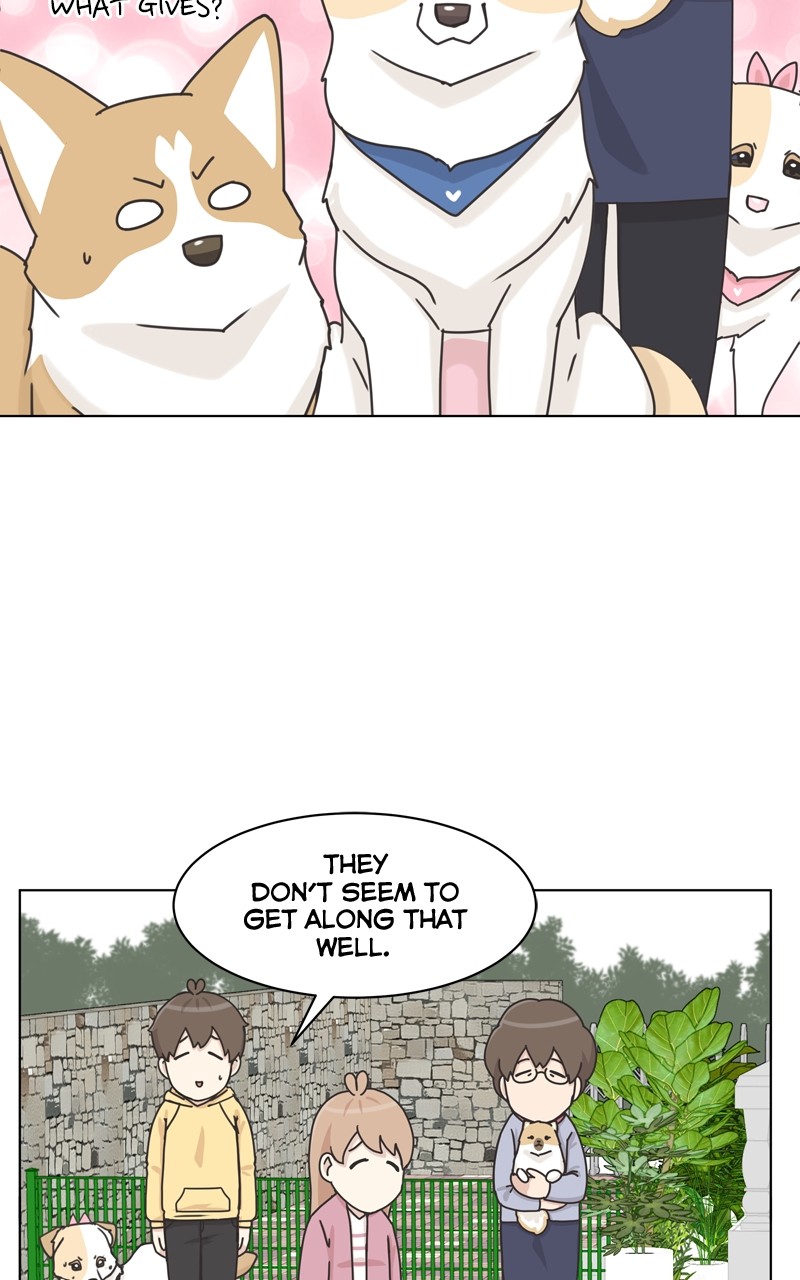 The Dog Diaries Chapter 115 - page 38