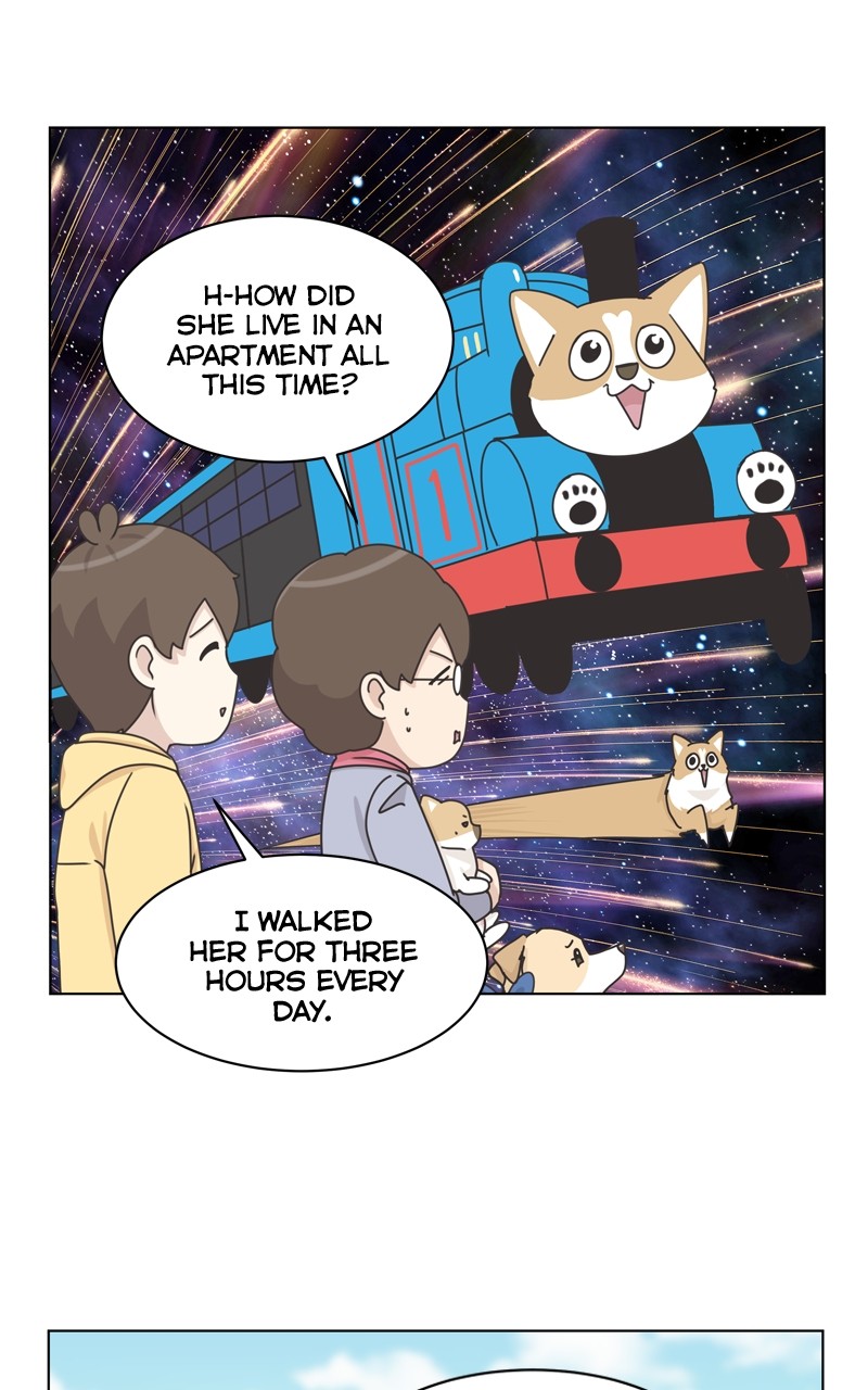 The Dog Diaries Chapter 115 - page 43