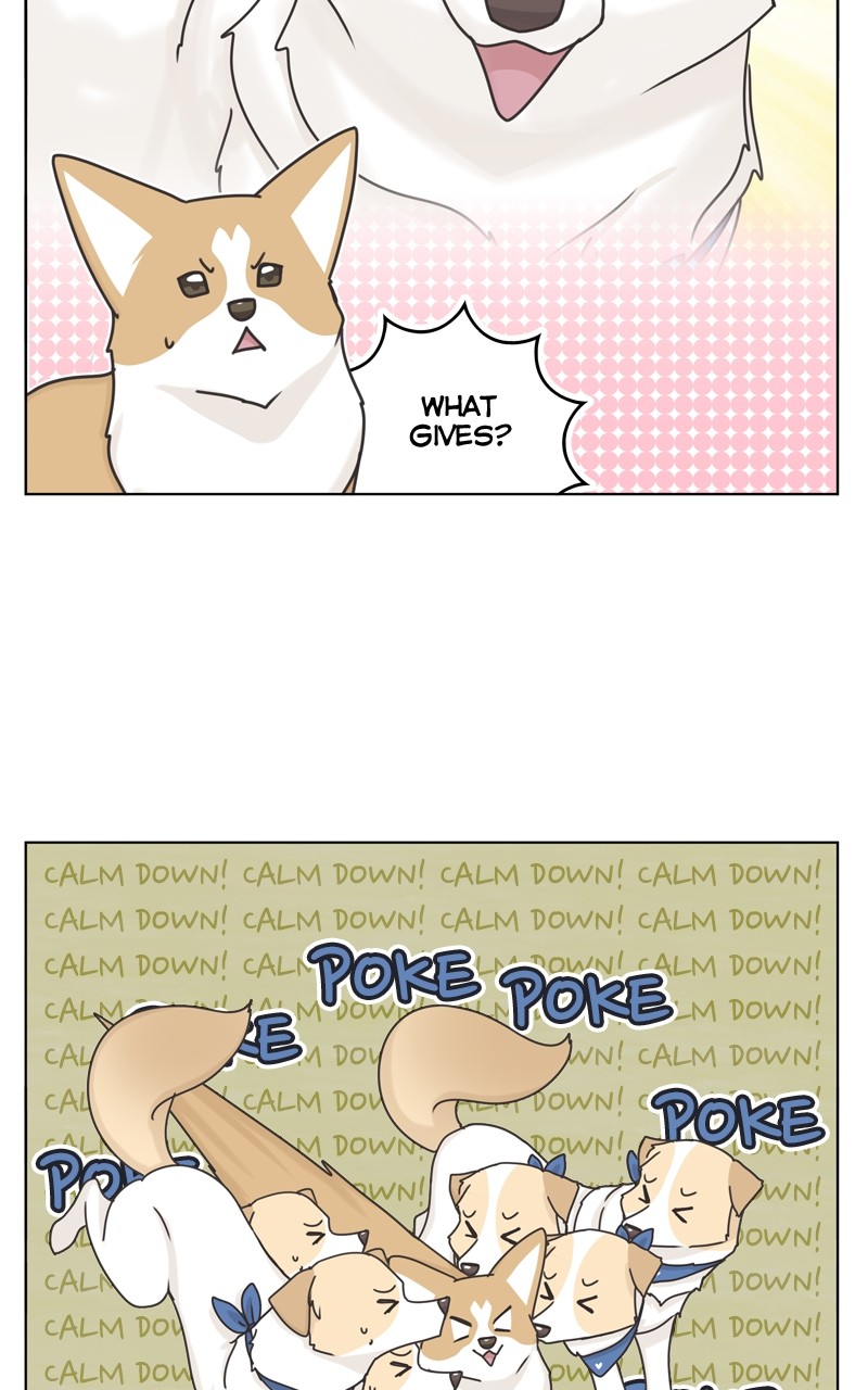 The Dog Diaries Chapter 115 - page 48