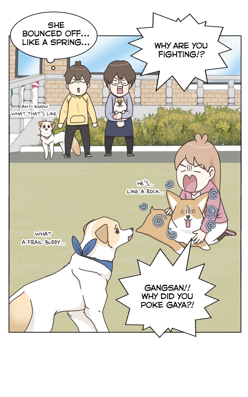 The Dog Diaries Chapter 115 - page 53