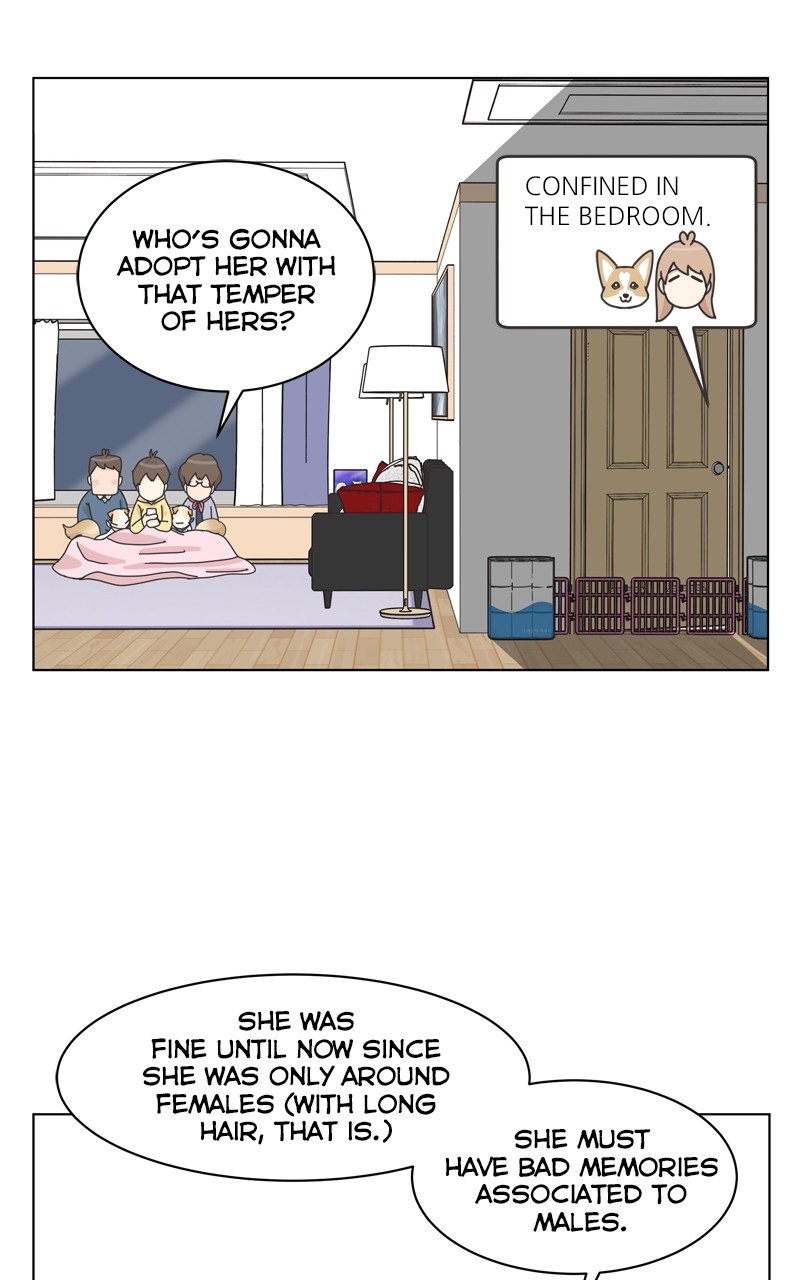 The Dog Diaries Chapter 115 - page 60