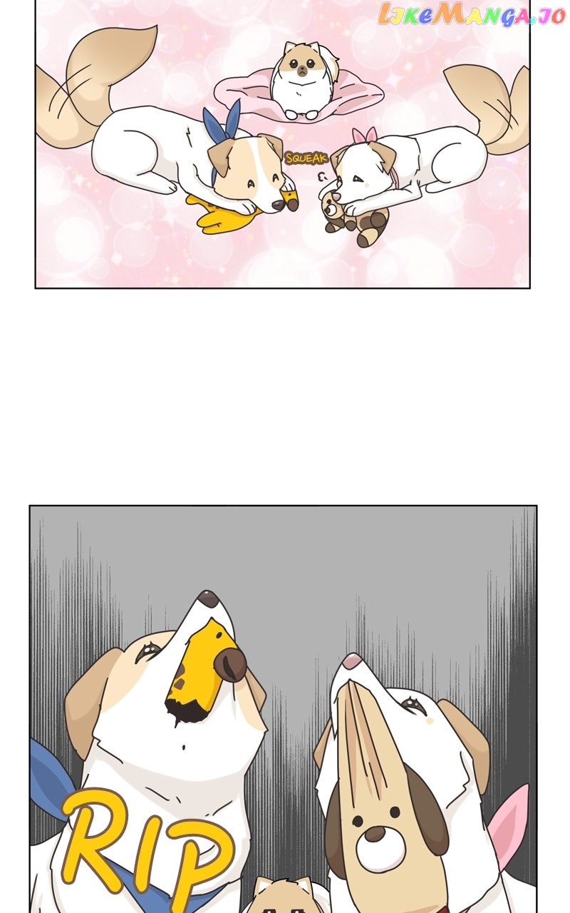 The Dog Diaries Chapter 117 - page 20