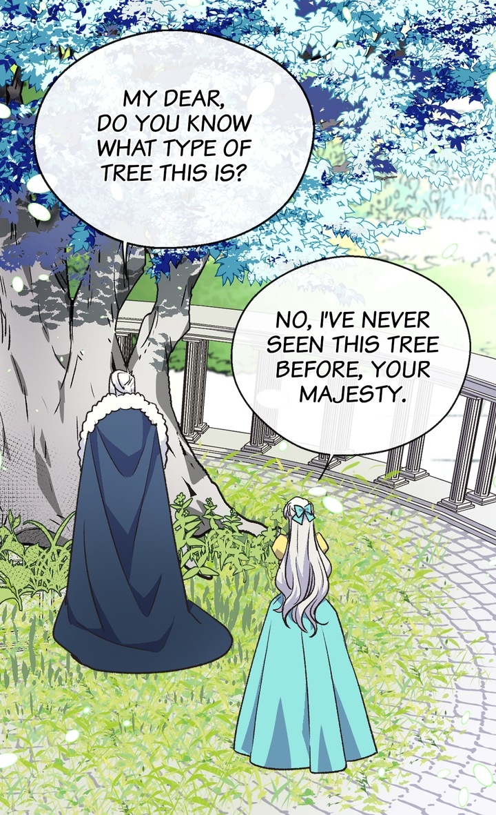 The Abandoned Empress Chapter 72 - page 11