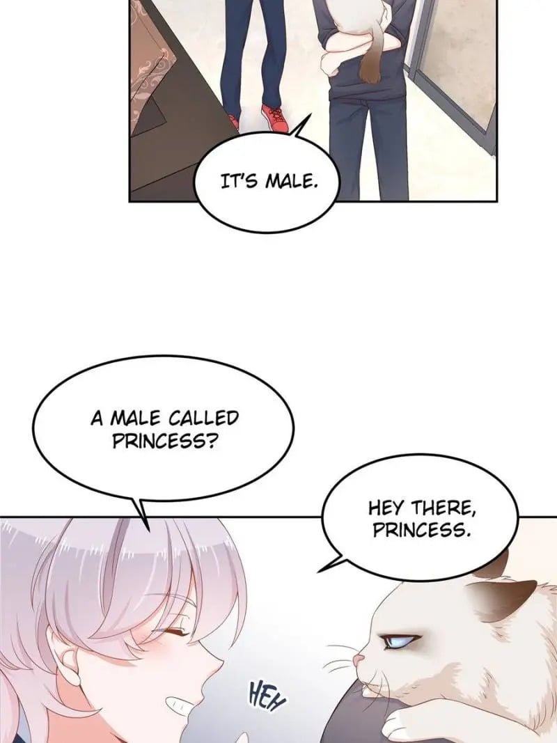 National School Prince Is A Girl chapter 51 - page 35