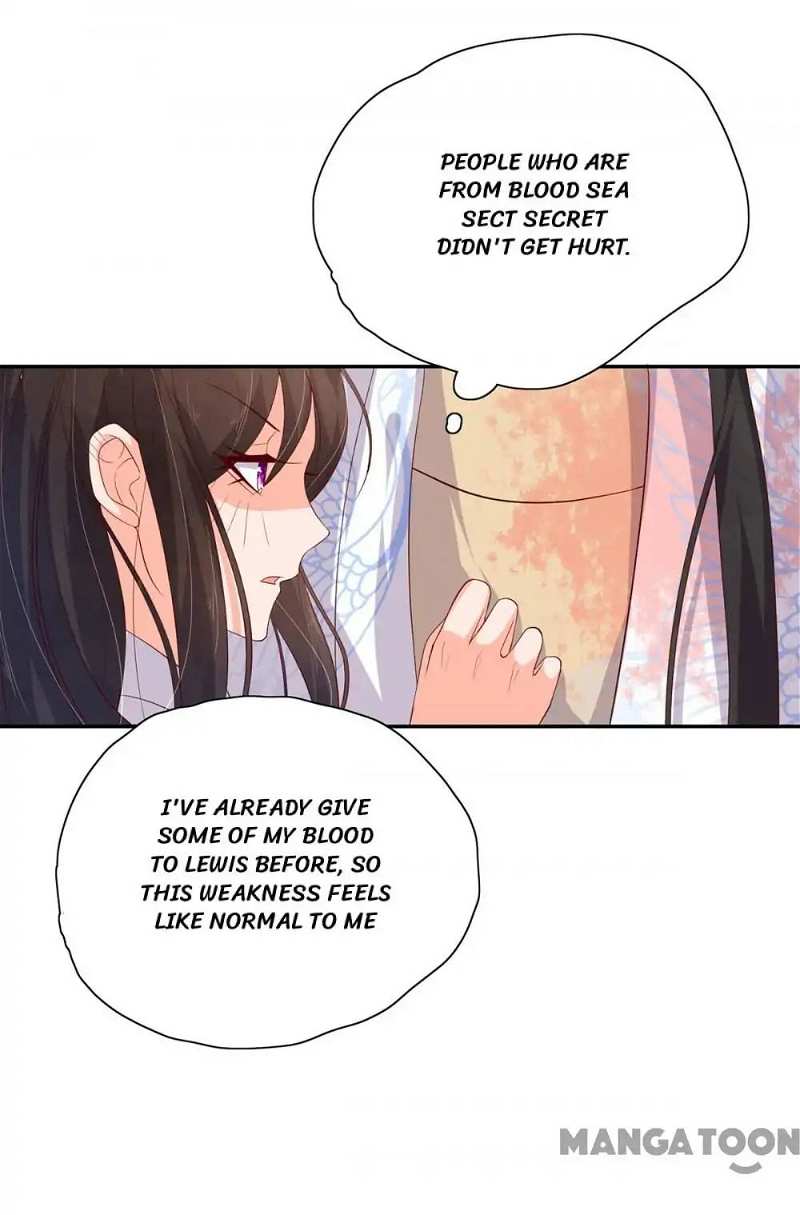 Princess’s Happily-ever-after Marriage chapter 84 - page 24