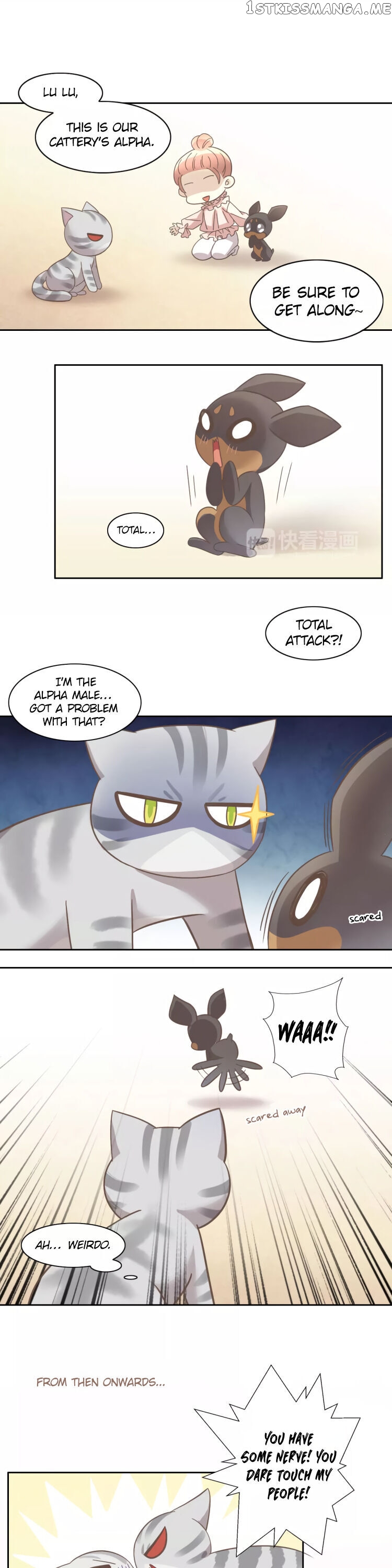 Under The Paws of Cats Chapter 28 - page 4