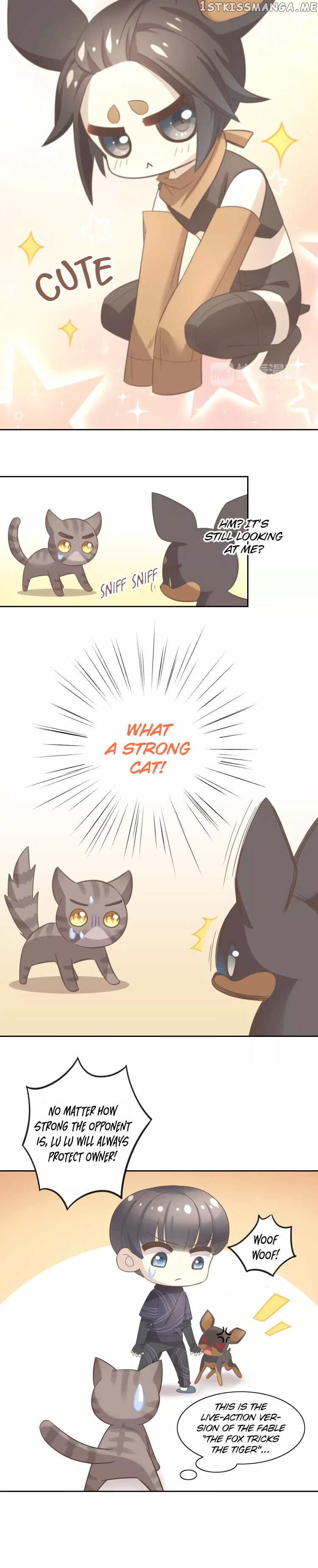 Under The Paws of Cats chapter 25 - page 6