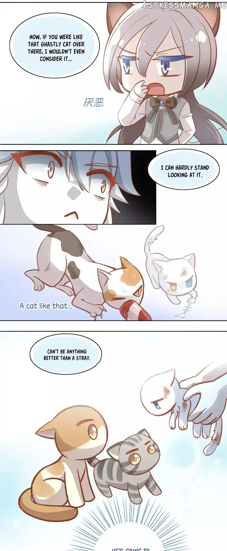 Under The Paws of Cats chapter 8 - page 32