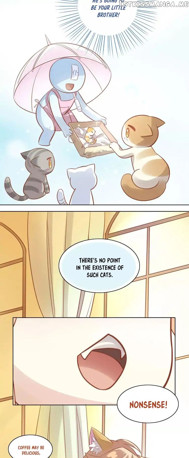 Under The Paws of Cats chapter 8 - page 33