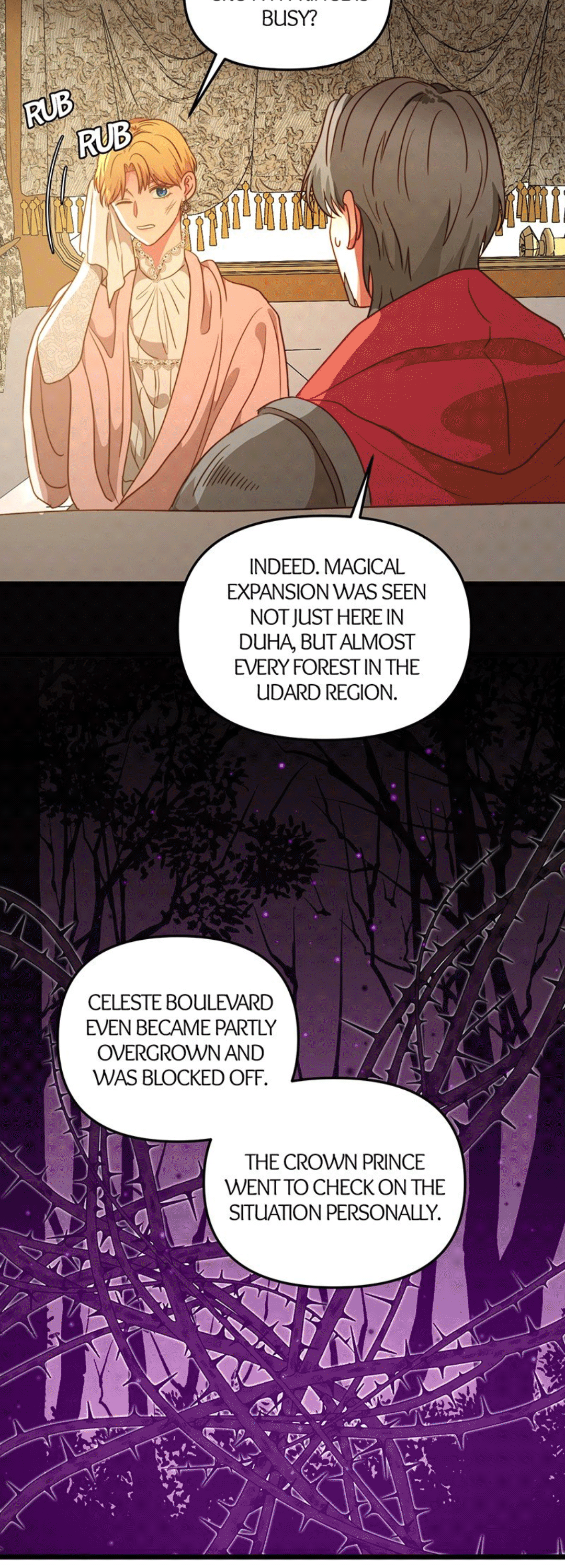 Irregular Empress chapter 52 - page 2