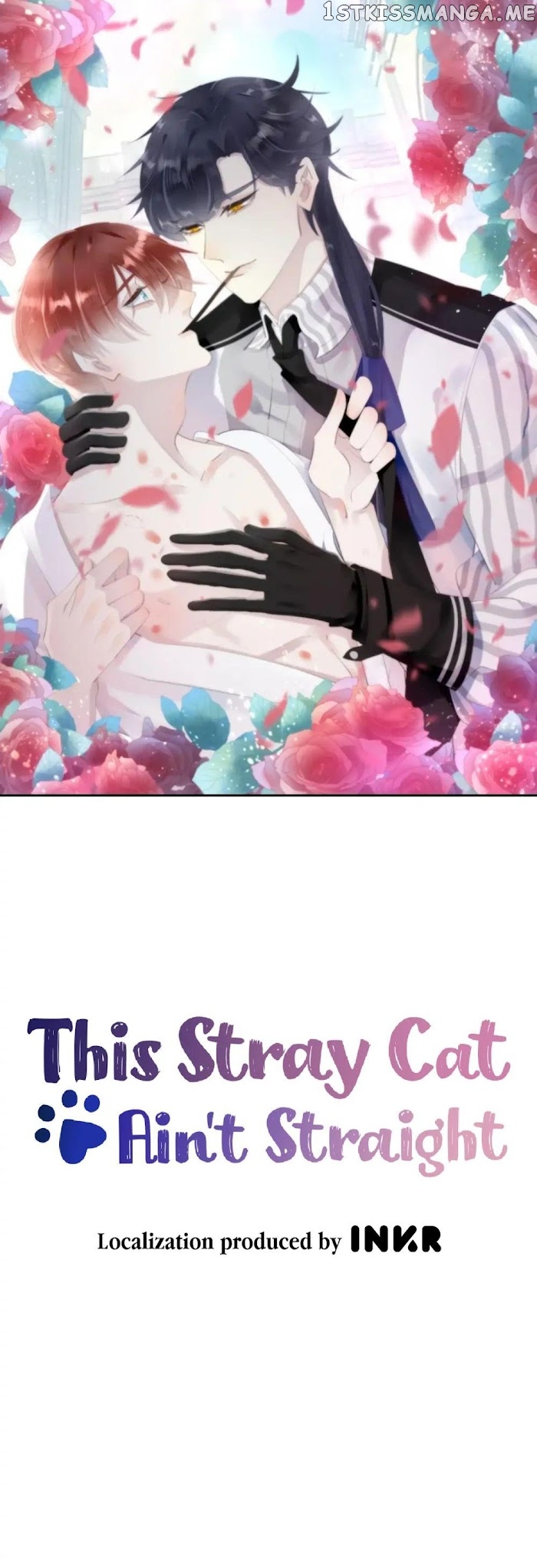 This Stray Cat Ain’t Straight chapter 11 - page 1