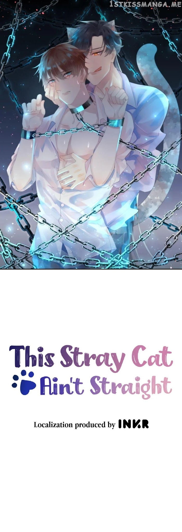 This Stray Cat Ain’t Straight chapter 7 - page 1