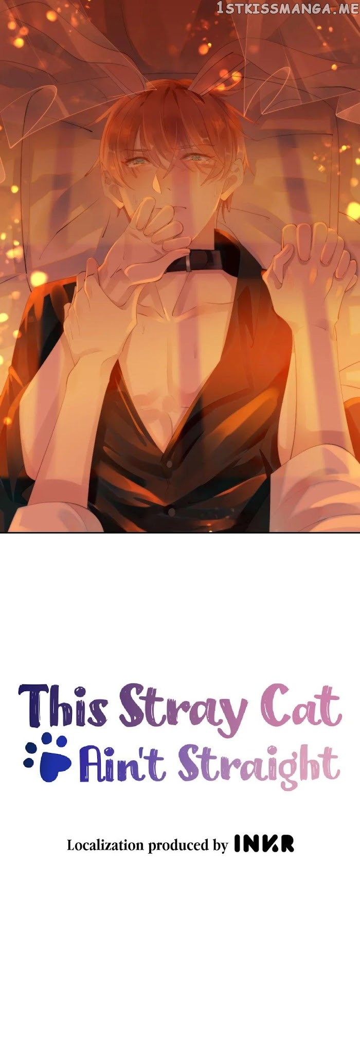 This Stray Cat Ain’t Straight chapter 6 - page 1