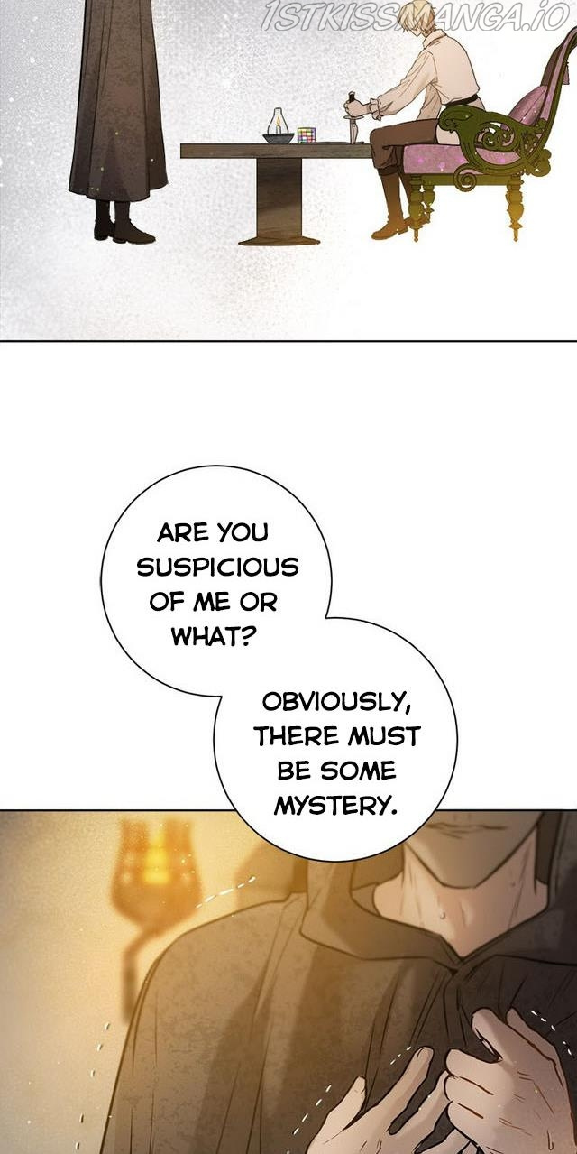 The Heiress's Double Life chapter 25 - page 46