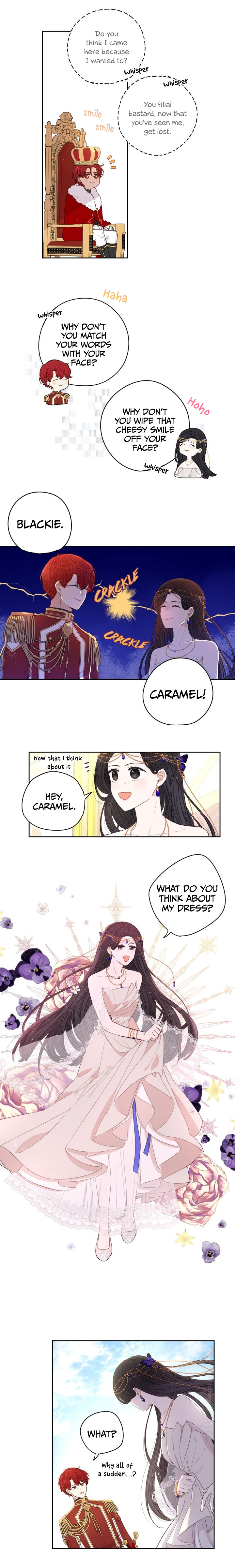 The Black Haired Princess chapter 13 - page 9