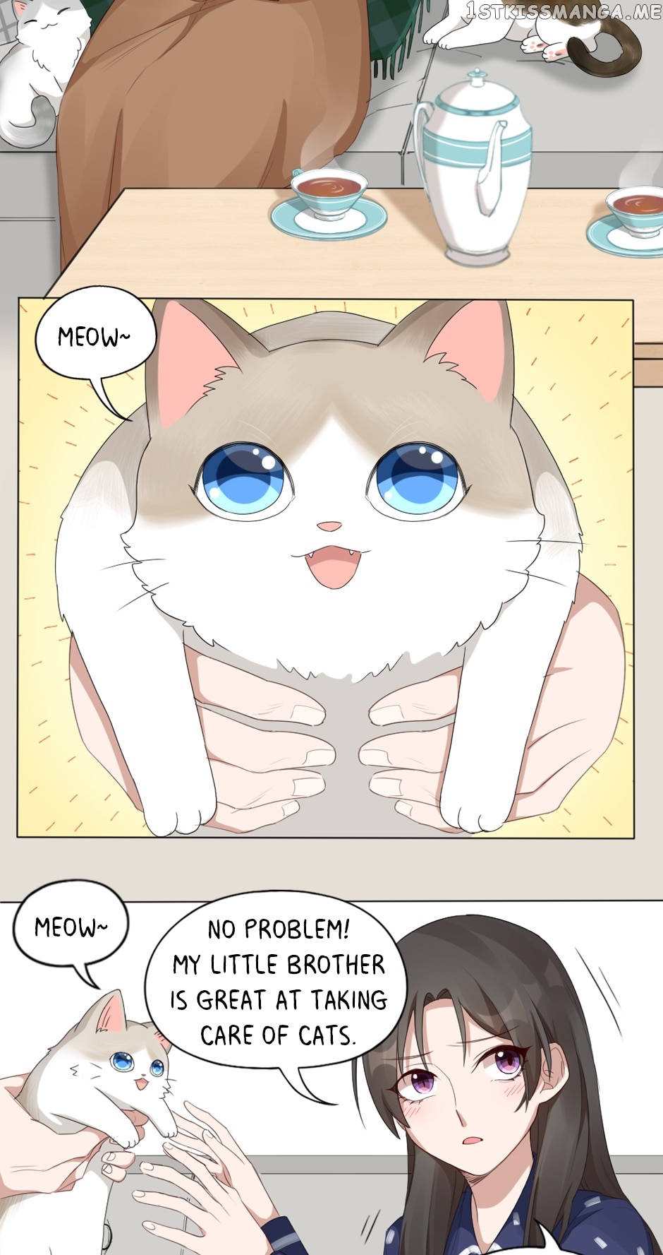 Kitty Boy Chapter 22 - page 3