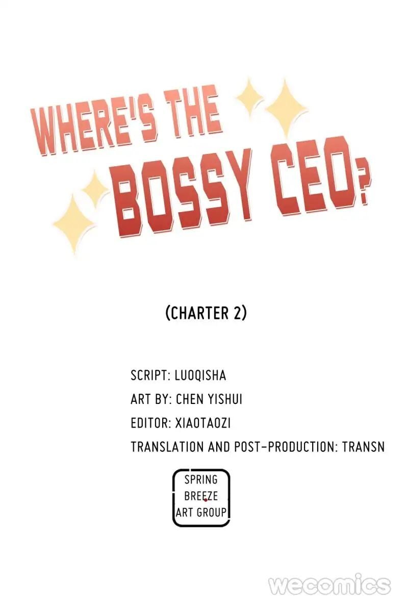 Where’s the Bossy CEO? Chapter 2 - page 1