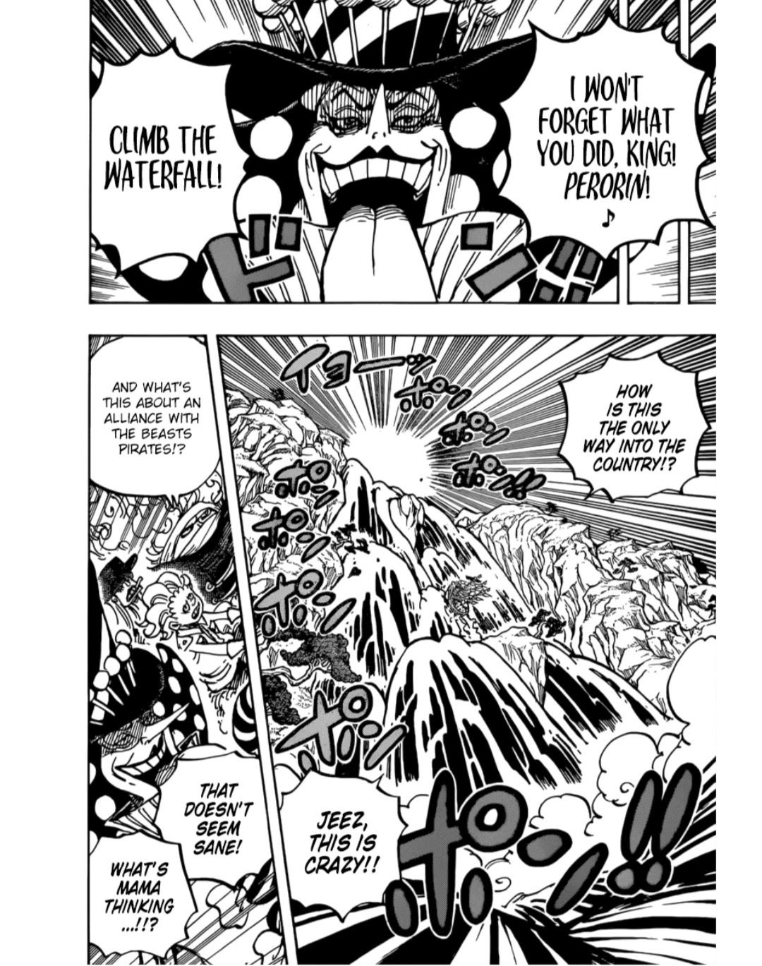 One Piece chapter 981 - page 14