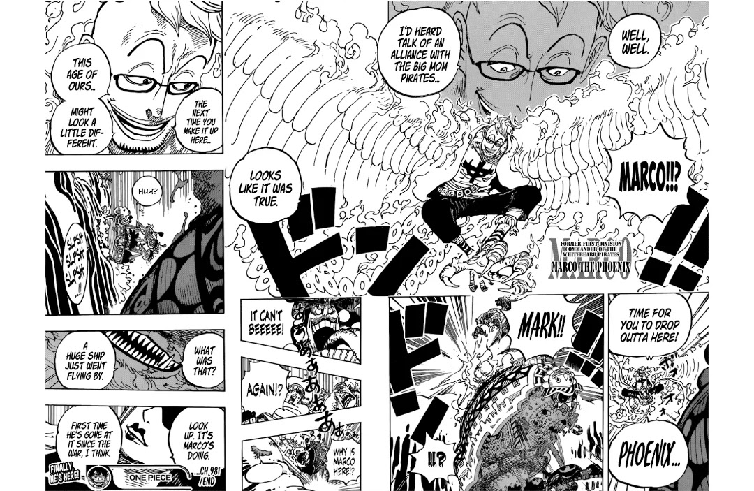 One Piece chapter 981 - page 16