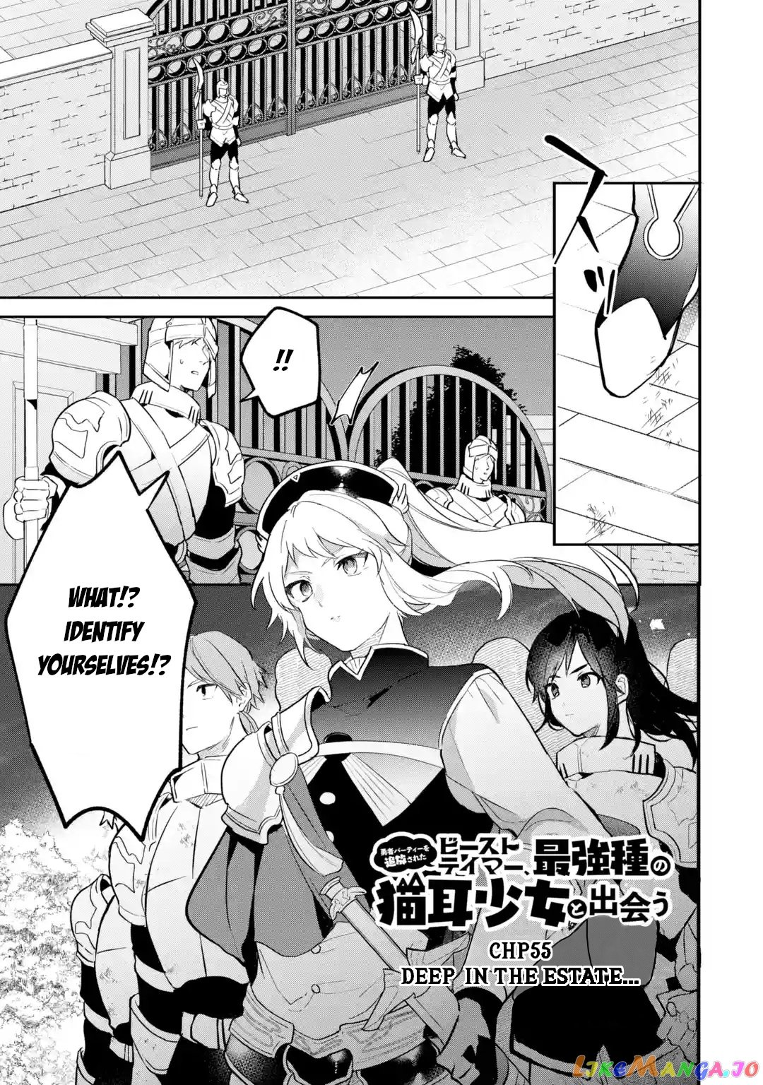 Yuusha Party Wo Tsuihou Sareta Beast Tamer, Saikyou Shuzoku Nekomimi Shojo To Deau chapter 55 - page 2