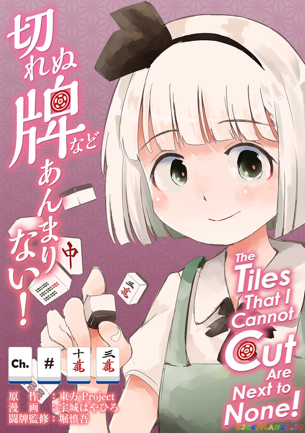 Touhou ~ The Tiles That I Cannot Cut Are Next To None! (Doujinshi) chapter 13 - page 1