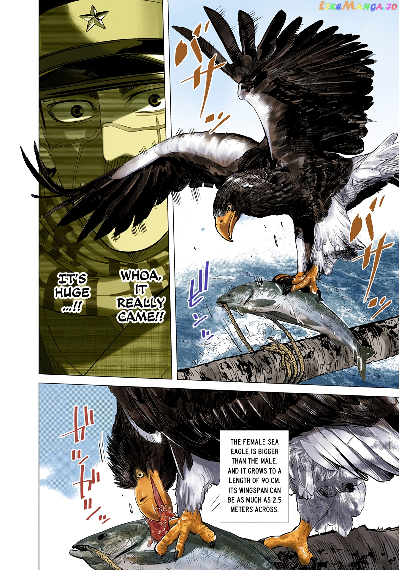 Golden Kamuy - Digital Colored Comics chapter 32 - page 9
