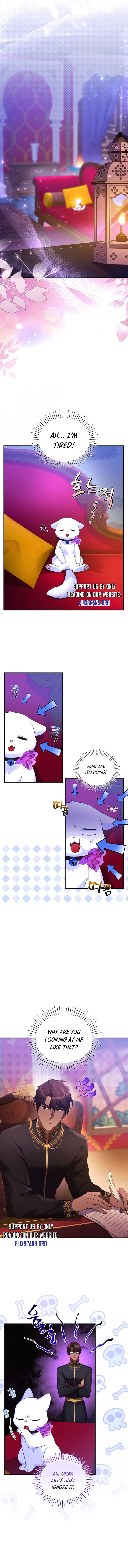 I Became the Sultan's Precious Cat Chapter 8 - page 9