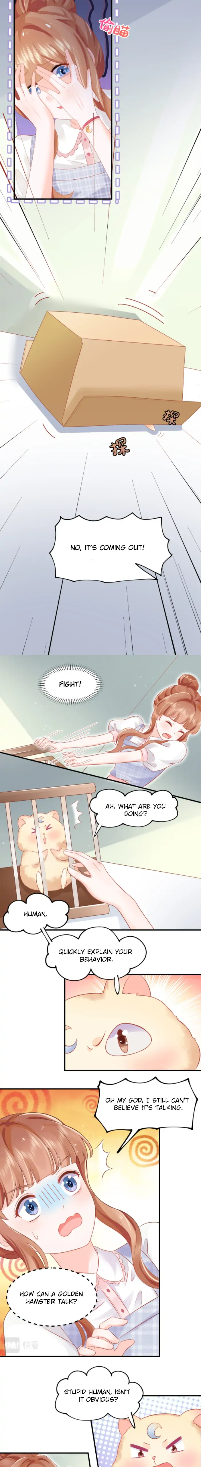 Golden Hamster's Love Collection chapter 1 - page 7