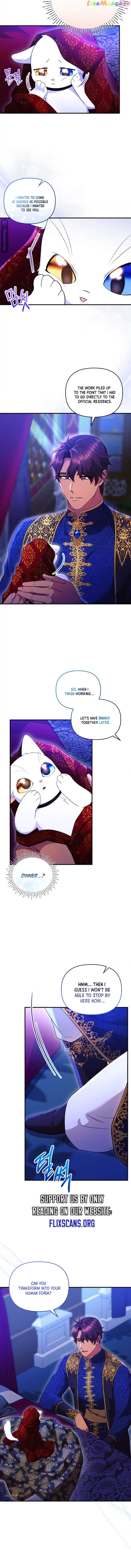 I Became the Sultan's Precious Cat Chapter 26 - page 5