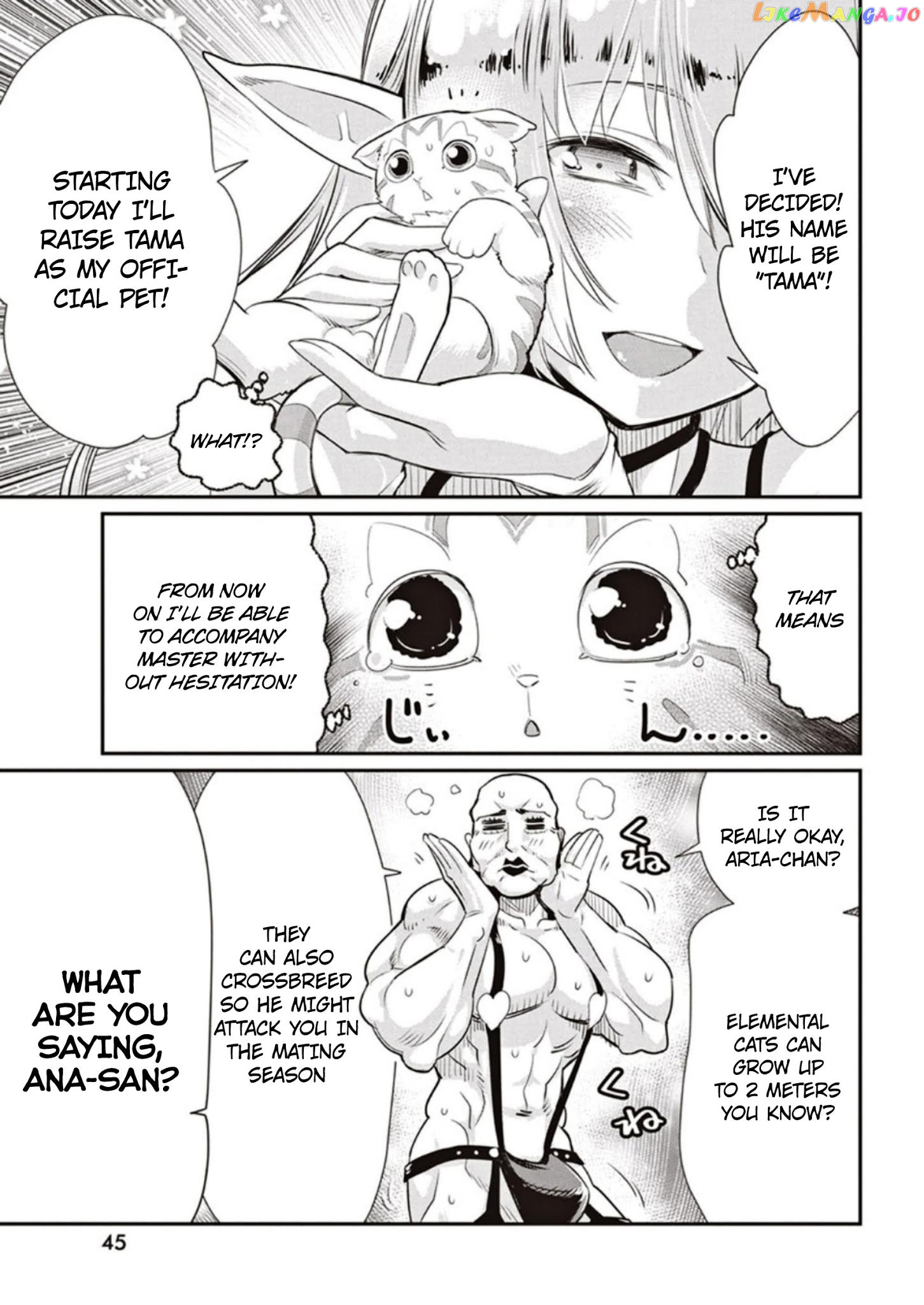 I Am Behemoth Of The S Rank Monster But I Am Mistaken As A Cat And I Live As A Pet Of Elf Girl chapter 3 - page 11