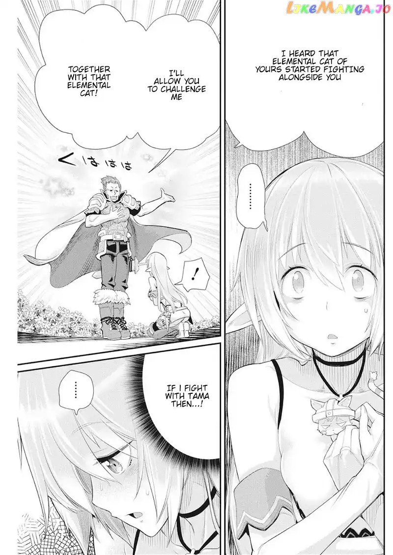 I Am Behemoth Of The S Rank Monster But I Am Mistaken As A Cat And I Live As A Pet Of Elf Girl chapter 5 - page 17