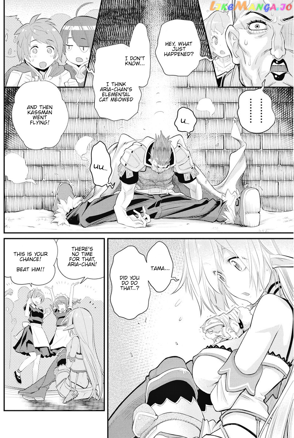 I Am Behemoth Of The S Rank Monster But I Am Mistaken As A Cat And I Live As A Pet Of Elf Girl chapter 6 - page 13