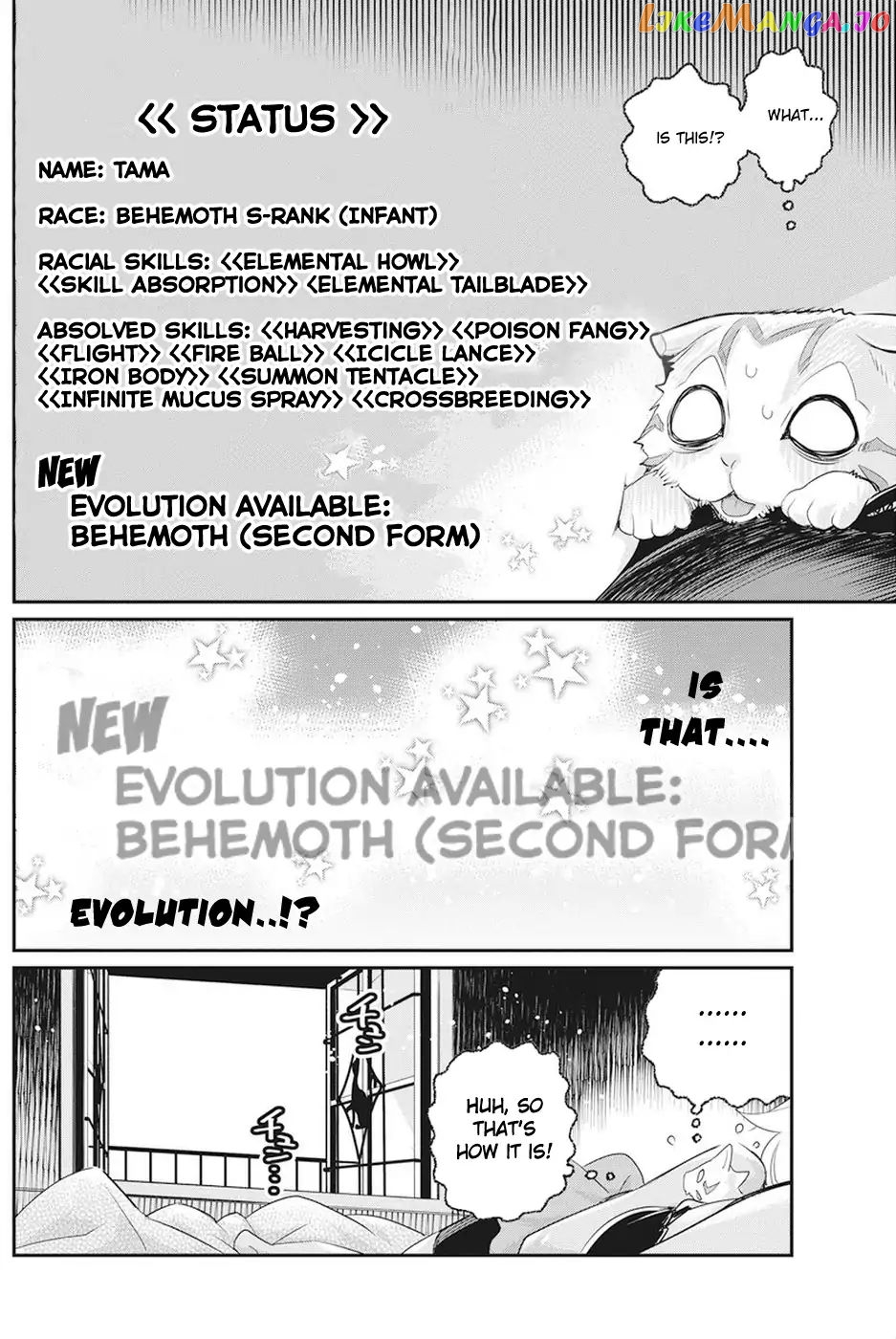 I Am Behemoth Of The S Rank Monster But I Am Mistaken As A Cat And I Live As A Pet Of Elf Girl chapter 8 - page 21