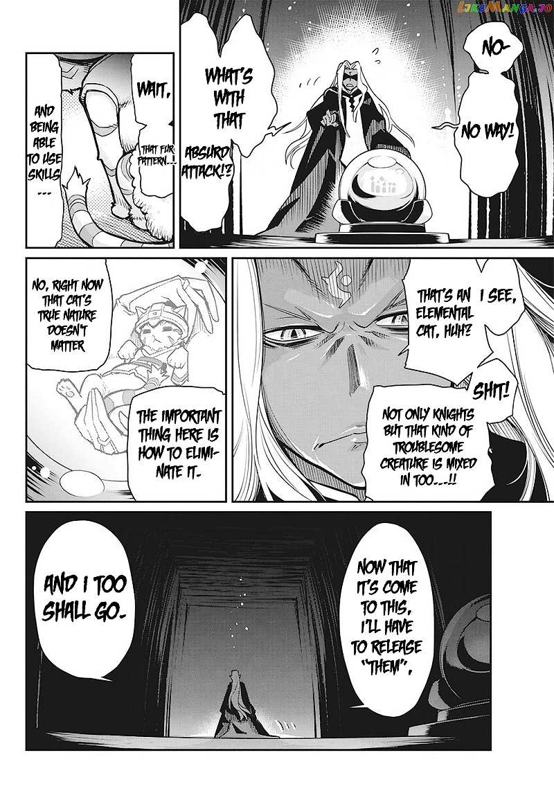 I Am Behemoth Of The S Rank Monster But I Am Mistaken As A Cat And I Live As A Pet Of Elf Girl chapter 13 - page 10