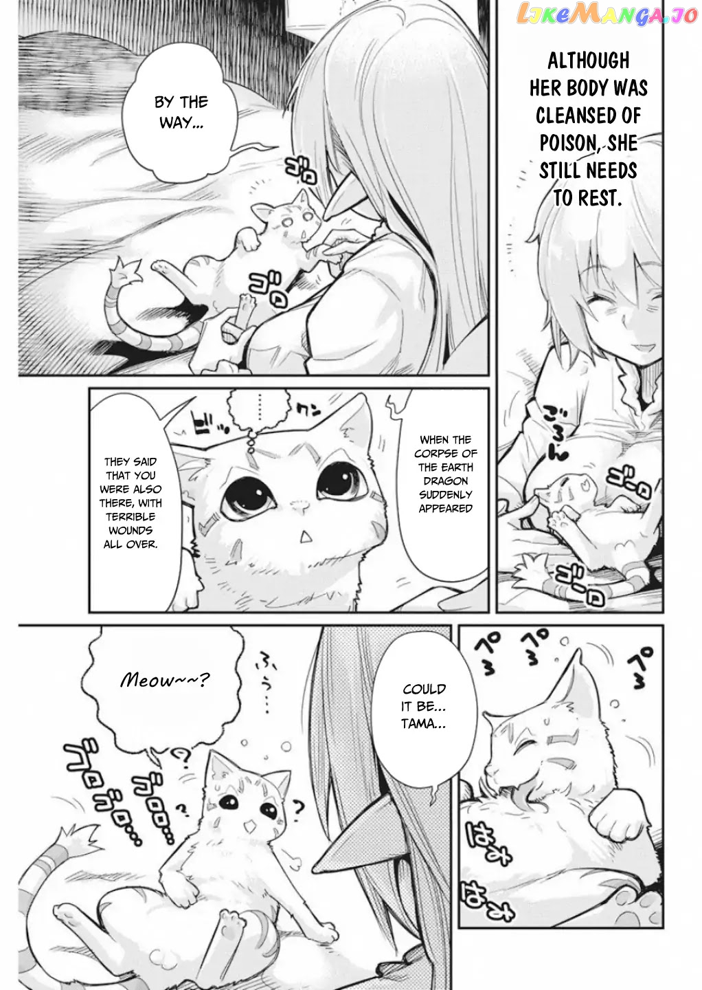 I Am Behemoth Of The S Rank Monster But I Am Mistaken As A Cat And I Live As A Pet Of Elf Girl chapter 16 - page 10