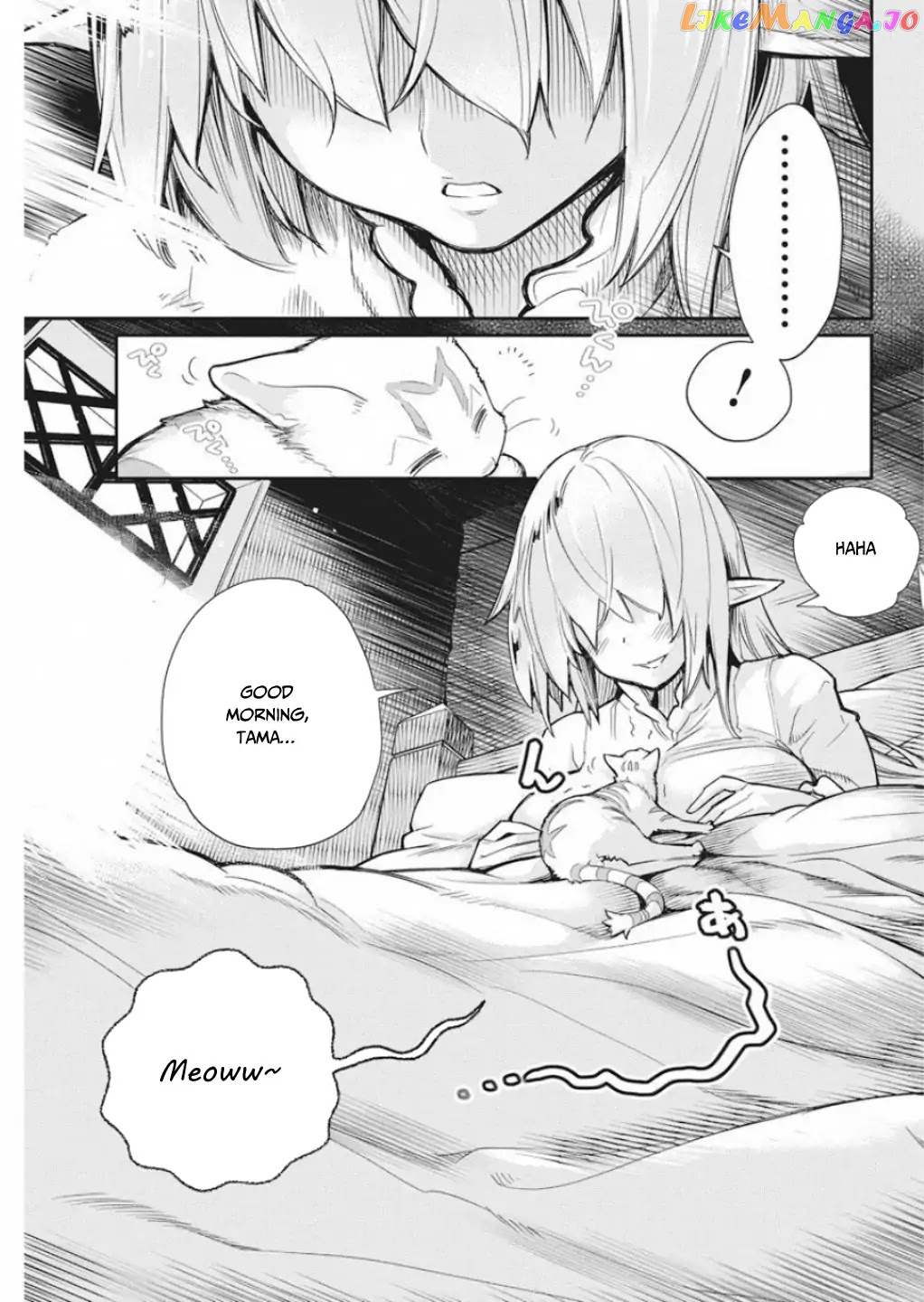 I Am Behemoth Of The S Rank Monster But I Am Mistaken As A Cat And I Live As A Pet Of Elf Girl chapter 16 - page 8