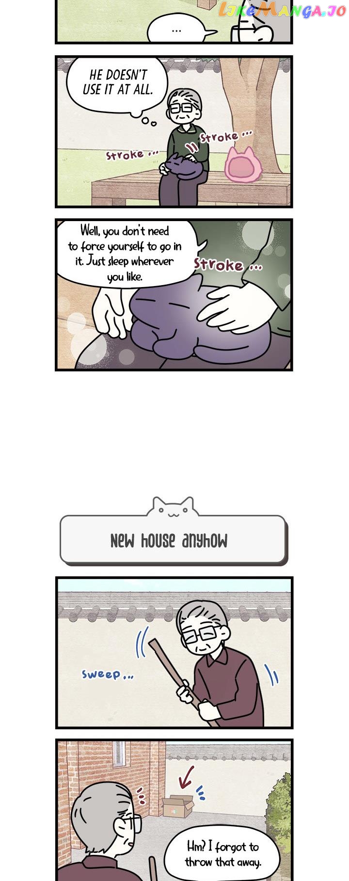 Cats Own The World chapter 57 - page 5