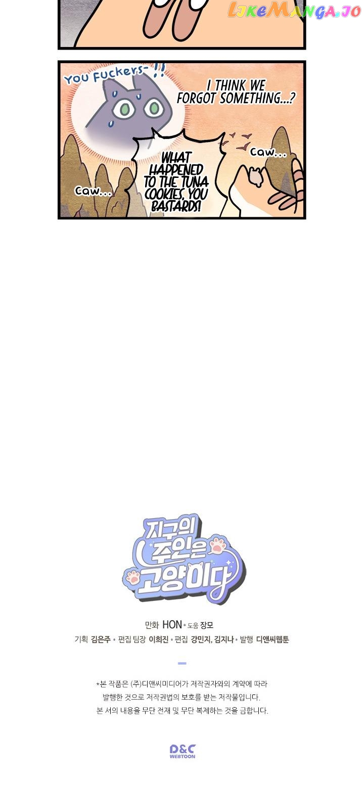 Cats Own The World chapter 34 - page 6