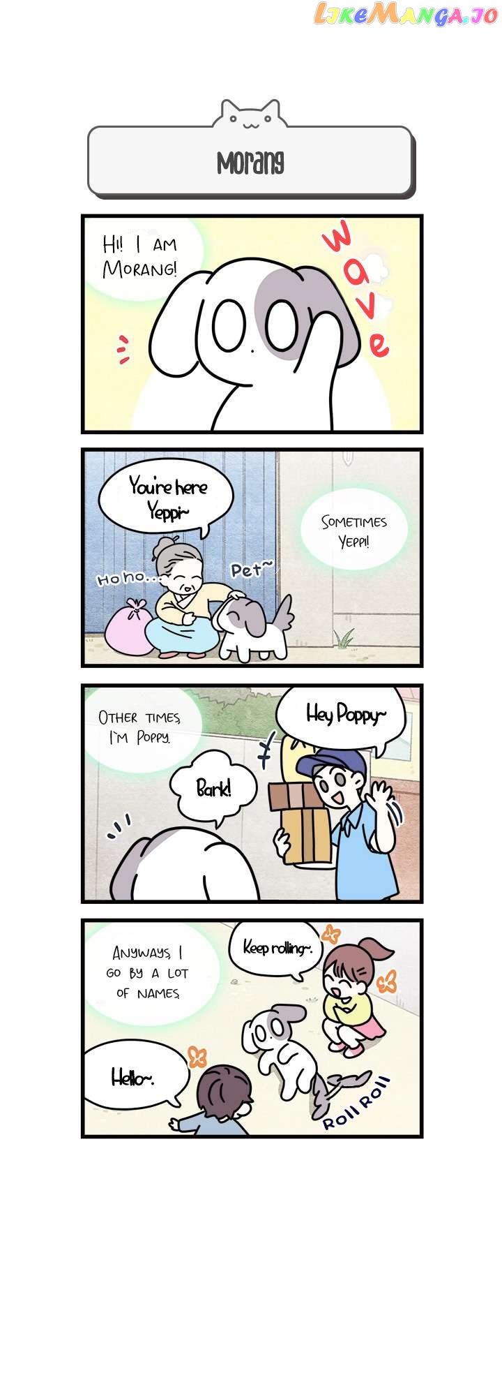 Cats Own The World chapter 38 - page 1