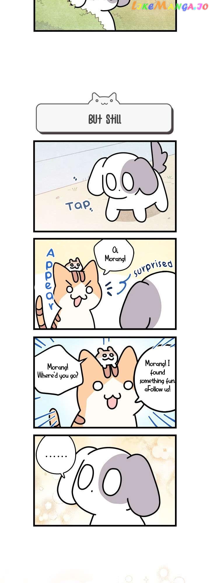 Cats Own The World chapter 38 - page 5
