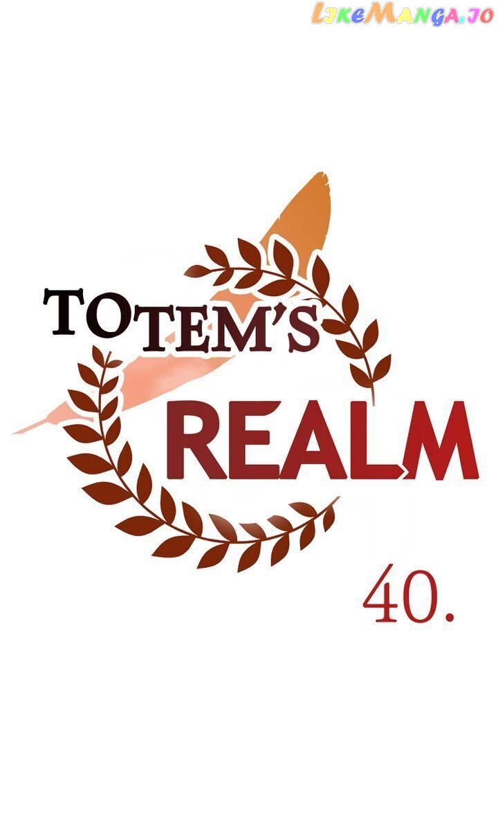 Totem Realm chapter 40 - page 45