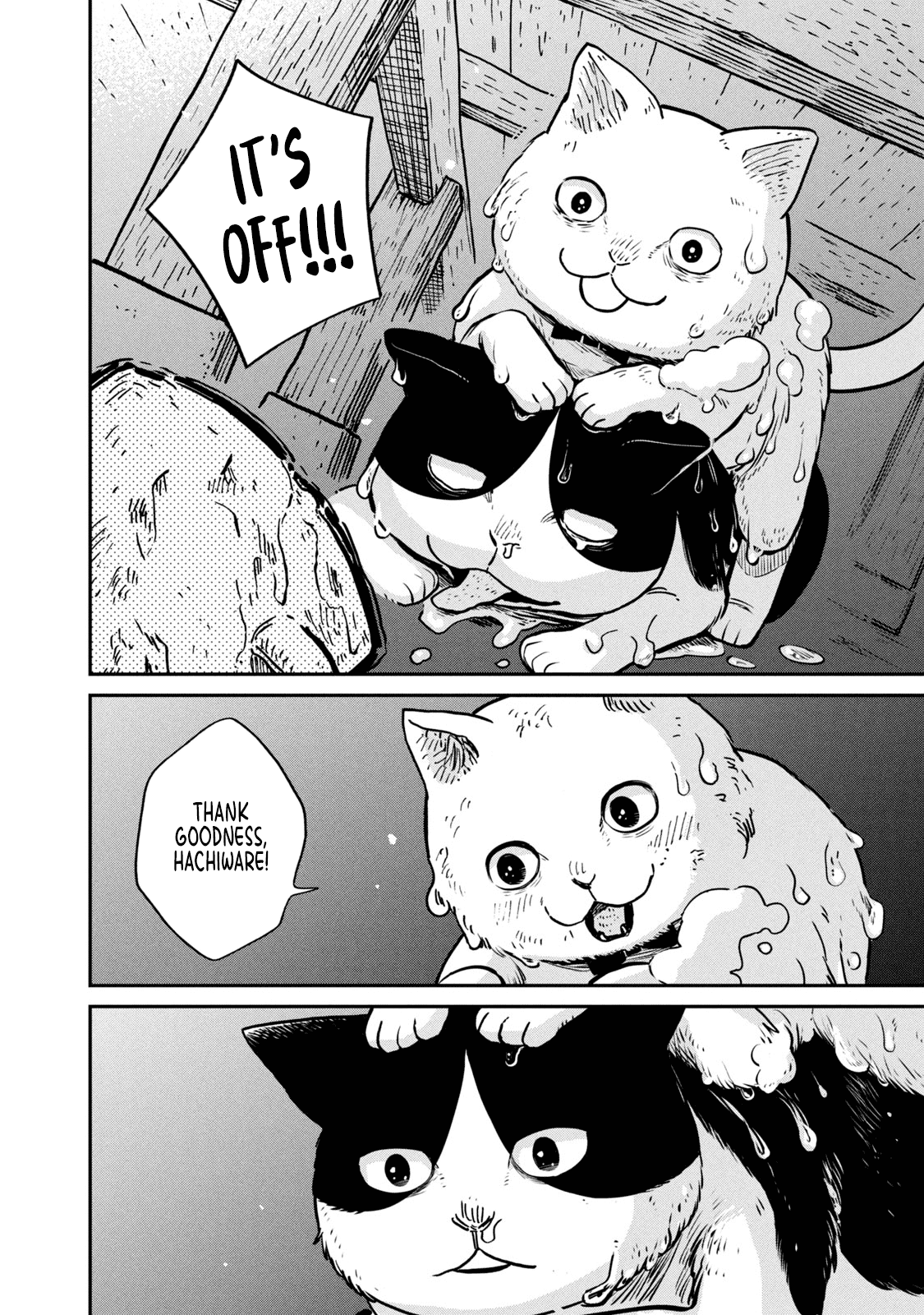 Cat Partners: Maruru And Hachi chapter 1 - page 31