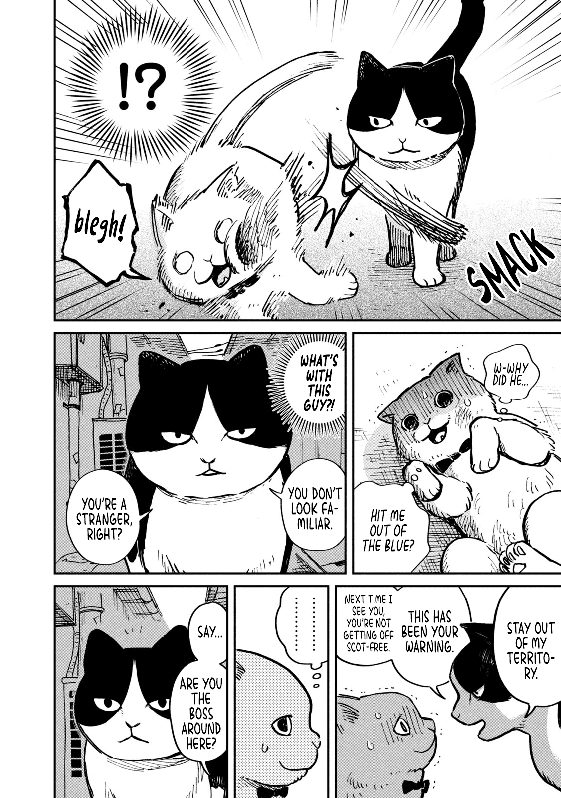 Cat Partners: Maruru And Hachi chapter 1 - page 7