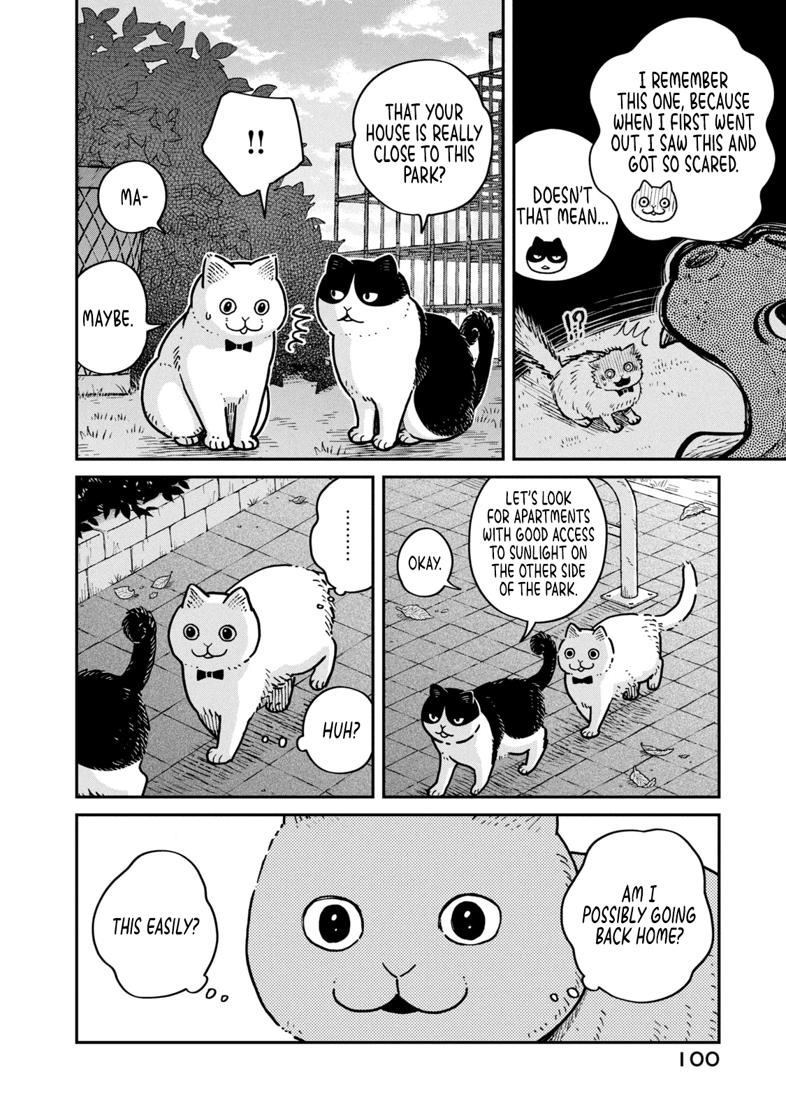 Cat Partners: Maruru And Hachi chapter 4 - page 12