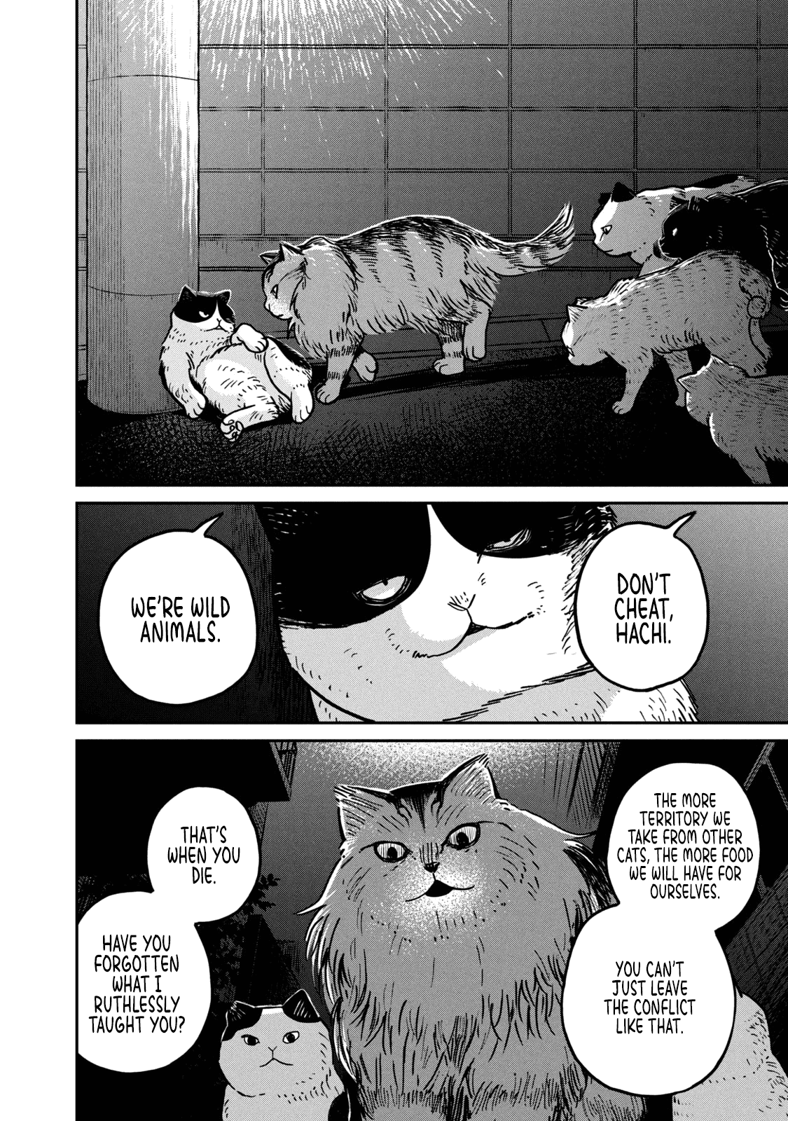 Cat Partners: Maruru And Hachi chapter 5 - page 5