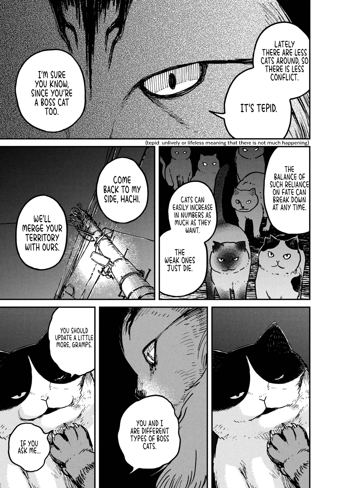 Cat Partners: Maruru And Hachi chapter 5 - page 6