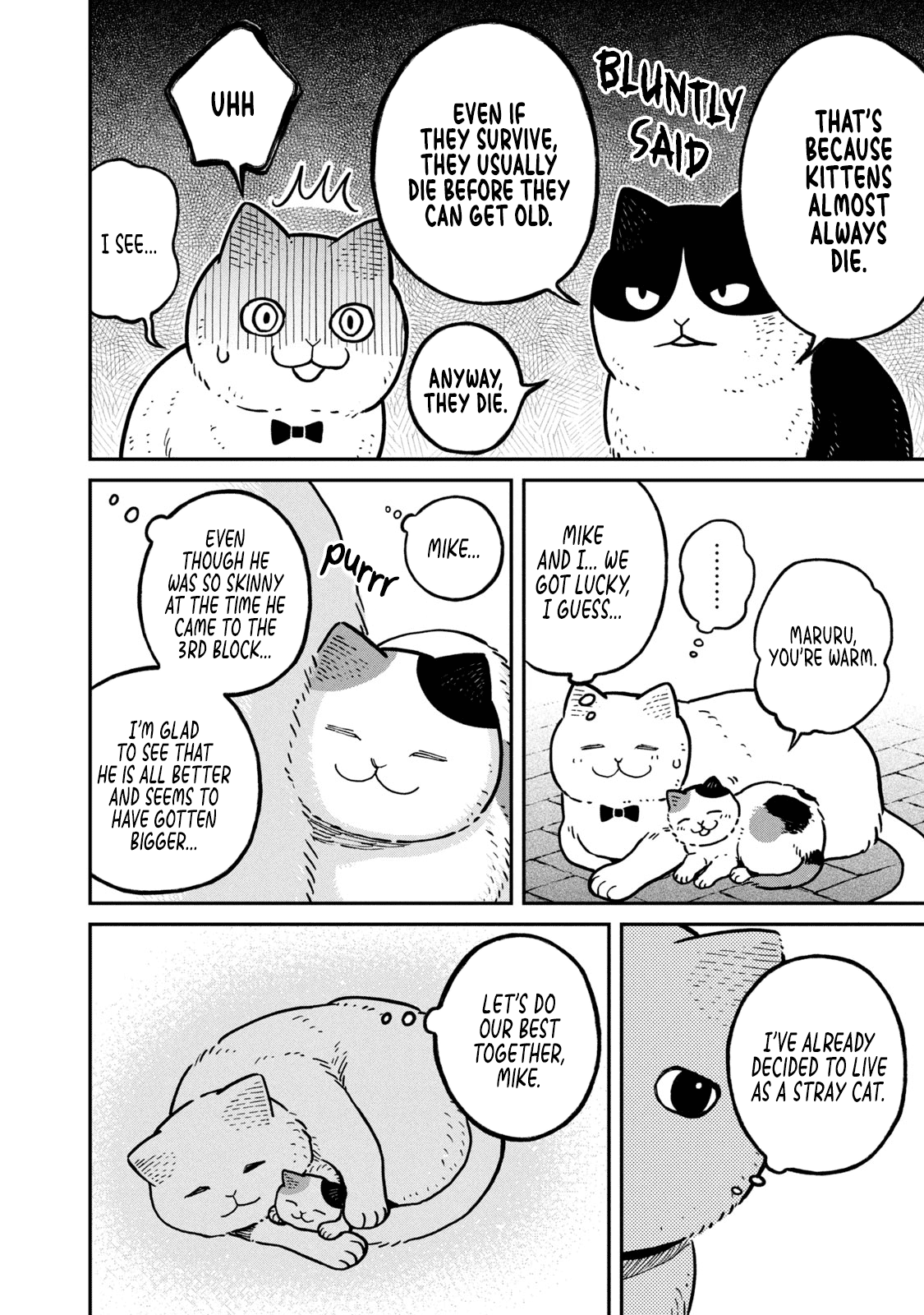 Cat Partners: Maruru And Hachi chapter 6 - page 5