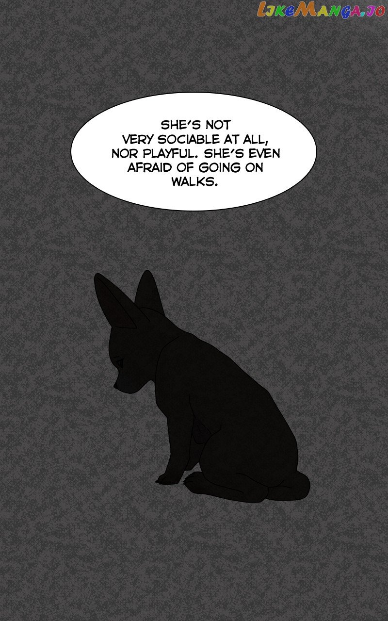 The Dog Diaries Chapter 127 - page 50