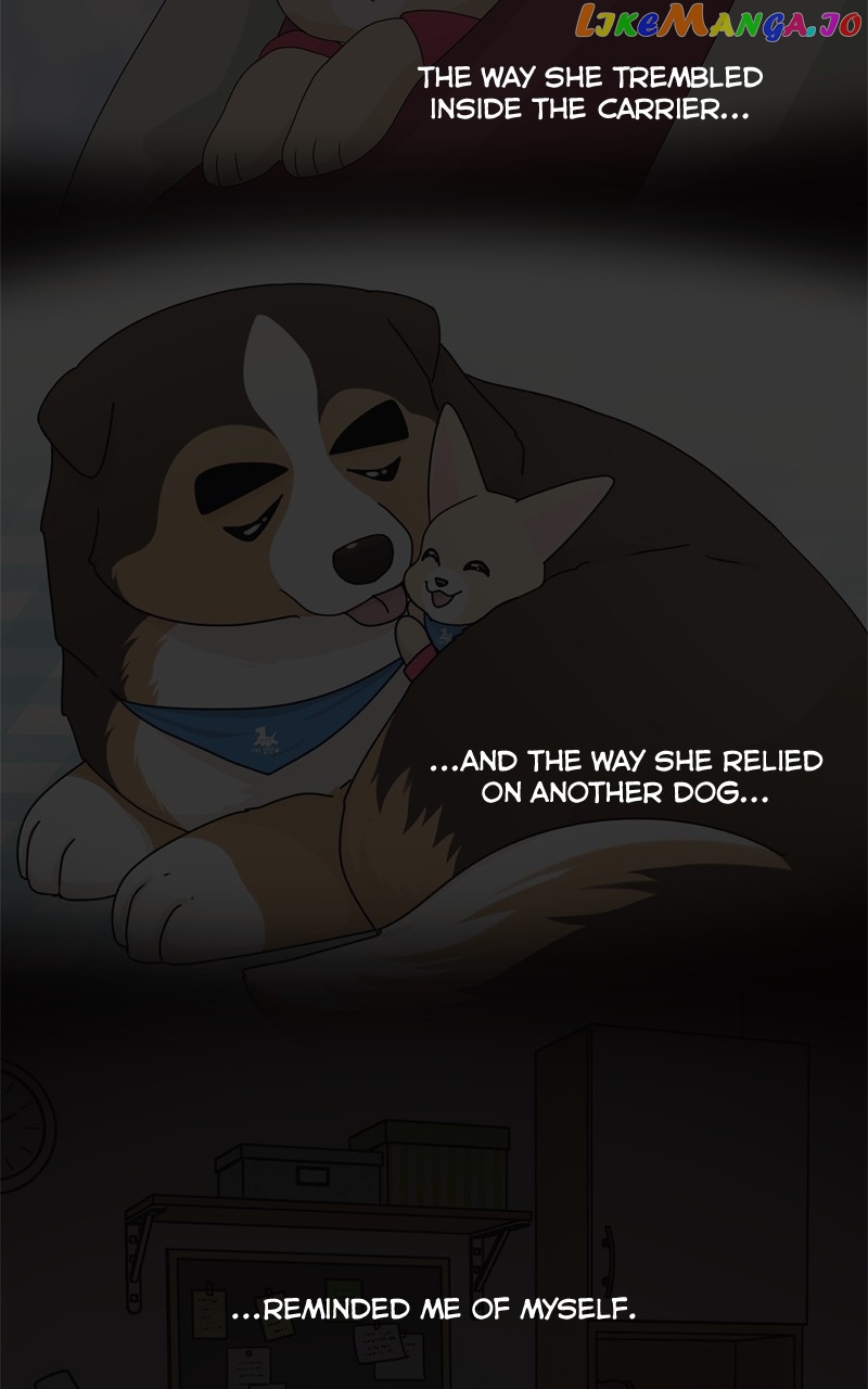 The Dog Diaries Chapter 129 - page 26